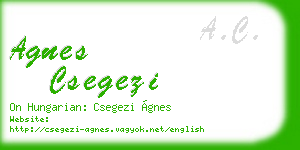 agnes csegezi business card