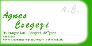 agnes csegezi business card